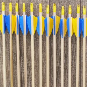 Youth Economy Wood Arrows Yellow and Blue (12)