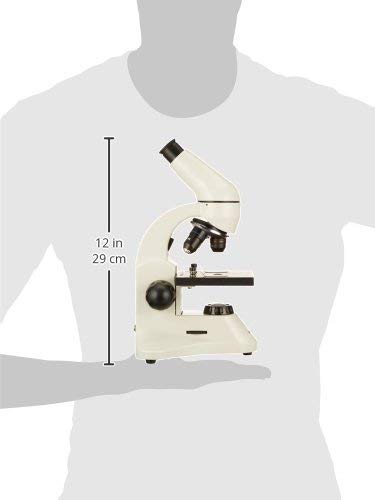 AmScope M120C-2L-PB10-E1 Digital Compound Monocular Microscope, WF10x and WF25x Eyepieces, 40x-1000x Magnification, Brightfield, Upper and Lower LED Illumination, Plain Stage, Includes Blank and Prepared Slides, 1.3MP Camera and Software