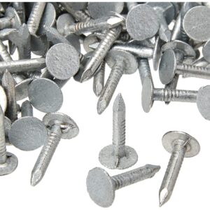 TimCo GEC20MB Galvanized Extra Large Head 20 x 3.00 Bag Clout Nails ELH-Galvanised 0.5kg, Silver