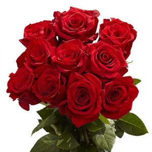 50 Red Roses- Fresh Cut Flowers- Natural Bright Blooms