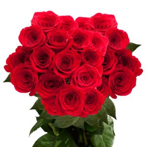 50 Red Roses- Fresh Cut Flowers- Natural Bright Blooms