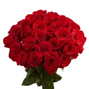 50 Red Roses- Fresh Cut Flowers- Natural Bright Blooms