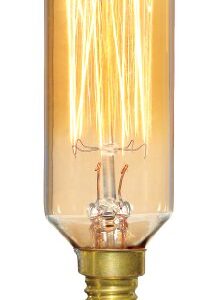 Satco S2420 40 Watt 20 Lumens T9 Incandescent Candelabra Base Soft White 2700K Vintage Cage Gold Coil Design Light Bulb, Dimmable