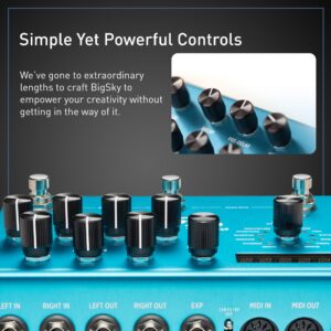 Strymon BigSky Multi Reverb Guitar Effects Pedal with 12 Unique Reverb Machines for Electric and Acoustic Guitar, Synths, Vocals and Keyboards