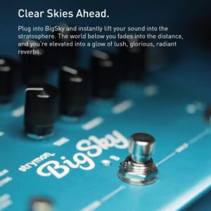 Strymon BigSky Multi Reverb Guitar Effects Pedal with 12 Unique Reverb Machines for Electric and Acoustic Guitar, Synths, Vocals and Keyboards