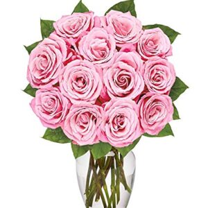 From You Flowers - One Dozen Light Pink Roses with Glass Vase (Fresh Flowers) Birthday, Anniversary, Get Well, Sympathy, Congratulations, Thank You