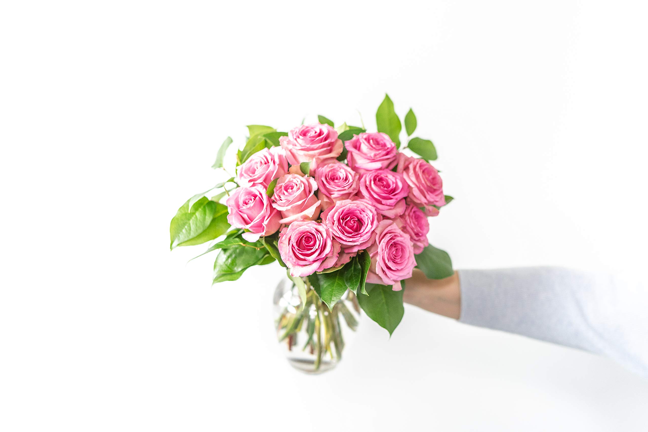 From You Flowers - One Dozen Light Pink Roses with Glass Vase (Fresh Flowers) Birthday, Anniversary, Get Well, Sympathy, Congratulations, Thank You