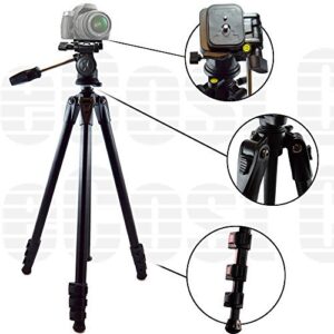 80" Inch Elite Series Professional Heavy Duty w/Angled Legs, Action Camera Tripod for Canon SL1, EOS-M, 5D, 5D Mark II, 5D Mark III & More… + Microfiber Cloth