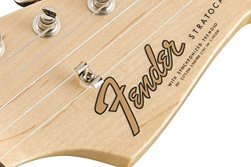 Fender Pure Vintage String Tree Kit