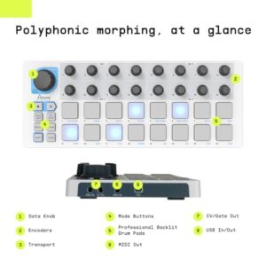 Arturia - BeatStep - Compact MIDI Controller & Sequencer with Creative Software for Recording - 16 Pads, 16 Encoders