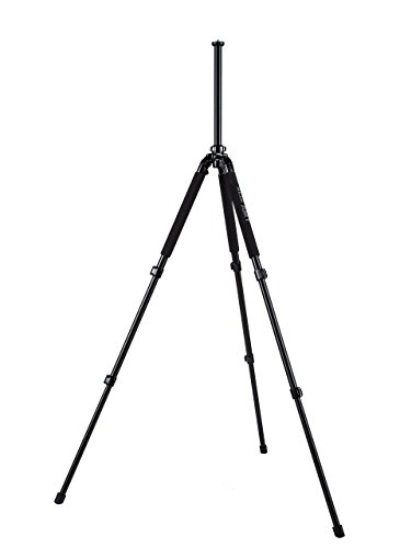 SLIK PRO 700DX Professional Tripod with Panhead (Black)