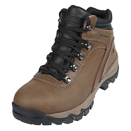 Northside Men's Apex Mid Hiking Boot, Brown, 10.5 D(M) US