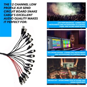 Seismic Audio Speakers 12 Channel Low Profile XLR Send Circuit Board Snake Cable, XLR Splitter Cable, 50 Feet