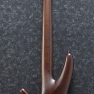 Ibanez SR Bass Workshop 5-String Electric Bass (Brown Burst Flat)