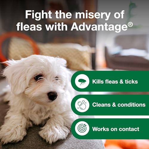 Advantage Dog Flea & Tick Shampoo for Puppies & Adult Dogs | Kills Fleas & Ticks | 12 oz.