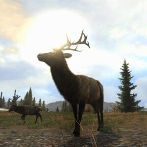 Cabela's Big Game Hunter Pro Hunts [Online Game Code]