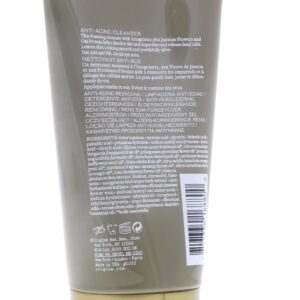 Origins Plantscription Anti-aging Cleanser 150ml Jasmine, 5.1 Fl Oz (SG_B00J44ENW4_US)