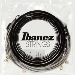 Ibanez, 6 Nickel Bass Guitar Strings-Light Top Medium Bottom, Silver, (IEBS6C)