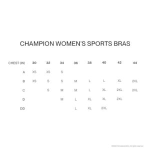 Champion womens Spot Comfort Full Support Sports Bra, Nude, 38DD US