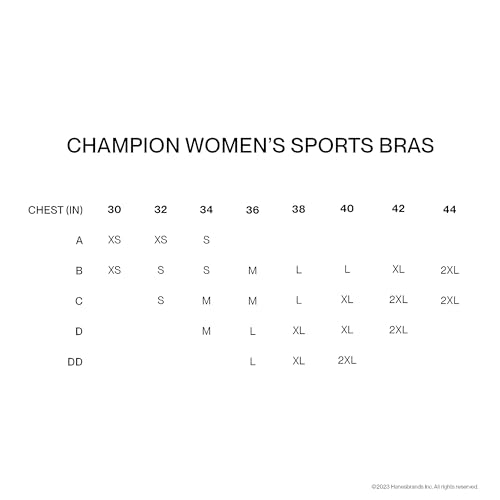 Champion womens Spot Comfort Full Support Sports Bra, Nude, 38DD US