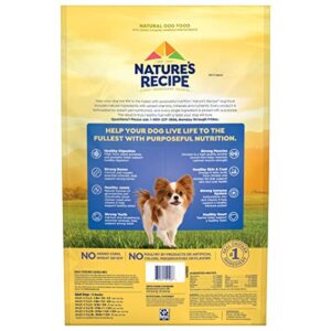 Nature’s Recipe Grain Free Small Breed Chicken, Sweet Potato & Pumpkin Recipe Dry Dog Food, 12 lb. Bag