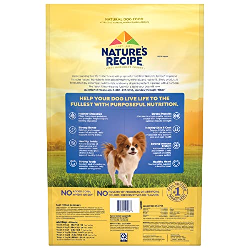 Nature’s Recipe Grain Free Small Breed Chicken, Sweet Potato & Pumpkin Recipe Dry Dog Food, 12 lb. Bag