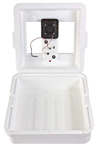 Little Giant® Digital Still Air Incubator | 41 Eggs | Egg Incubator with Temperature and Humidity Control | Chick Incubator