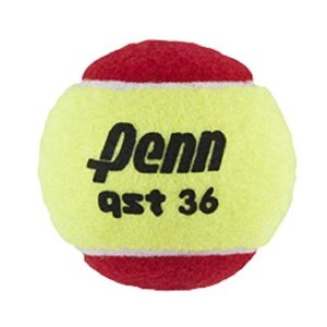 Penn QST 36 Felt Tennis Balls, 3 Ball Polybag