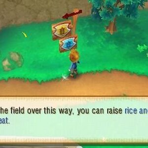 Story of Seasons - Nintendo 3DS