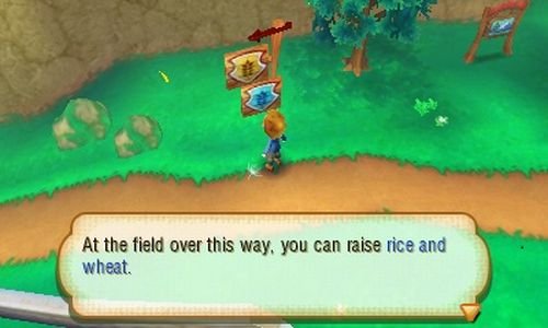 Story of Seasons - Nintendo 3DS