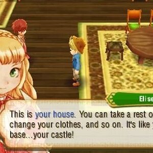 Story of Seasons - Nintendo 3DS