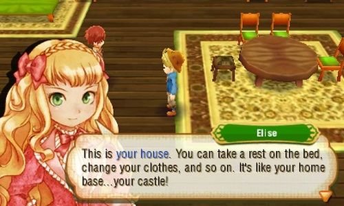 Story of Seasons - Nintendo 3DS