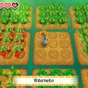 Story of Seasons - Nintendo 3DS