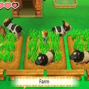 Story of Seasons - Nintendo 3DS