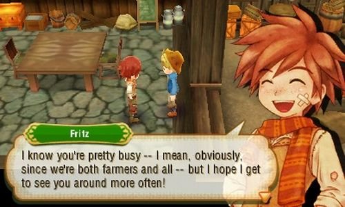 Story of Seasons - Nintendo 3DS