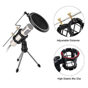 Eggsnow Microphone Shock Mount Clip Universal Mic Holder Stand Anti Vibration for AKG D230 Senheisser ME66 Rode NTG-2 NTG-1 Audio-Technica AT-875R