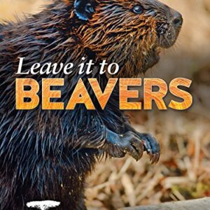 Leave it to Beavers