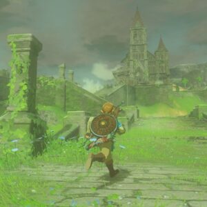 The Legend of Zelda: Breath of the Wild - Wii U