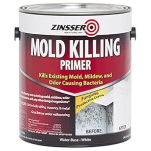 zinsser mold killing primer