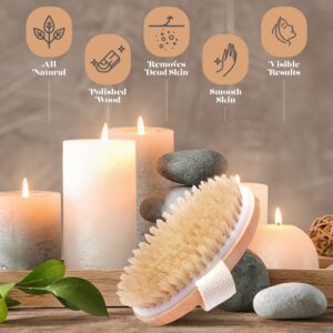 Dry Skin Body Brush - Improves Skin's Health and Beauty - Natural Bristle - Remove Dead Skin and Toxins, Cellulite Treatment, Improves Lymphatic Functions, Exfoliates, Stimulates Blood Circulation