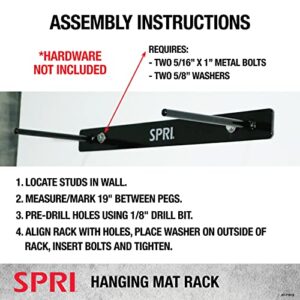 SPRI Hanging Exercise Mat Wall-Mounted Rack Hanging Exercise Mats, Black