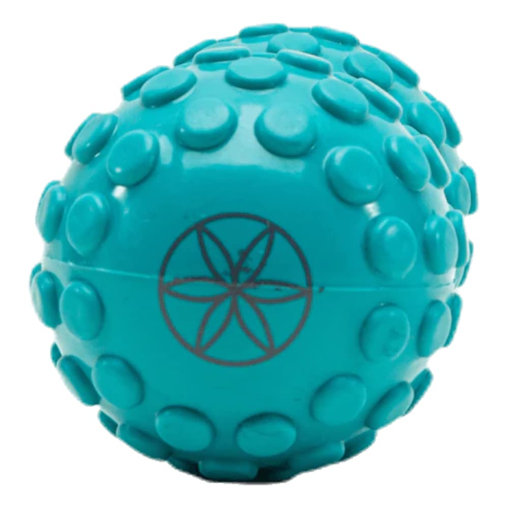 Gaiam Restore Dual-Zone Back Massage Roller Blue