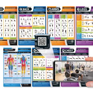 Gym Workout Posters - Set of 7 - Laminated - EXTRA LARGE 33" X 23.5" - Exercise Posters - Gym or Home Workout Charts - Includes Video Training Support