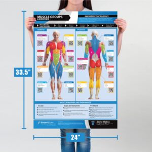 Gym Workout Posters - Set of 7 - Laminated - EXTRA LARGE 33" X 23.5" - Exercise Posters - Gym or Home Workout Charts - Includes Video Training Support