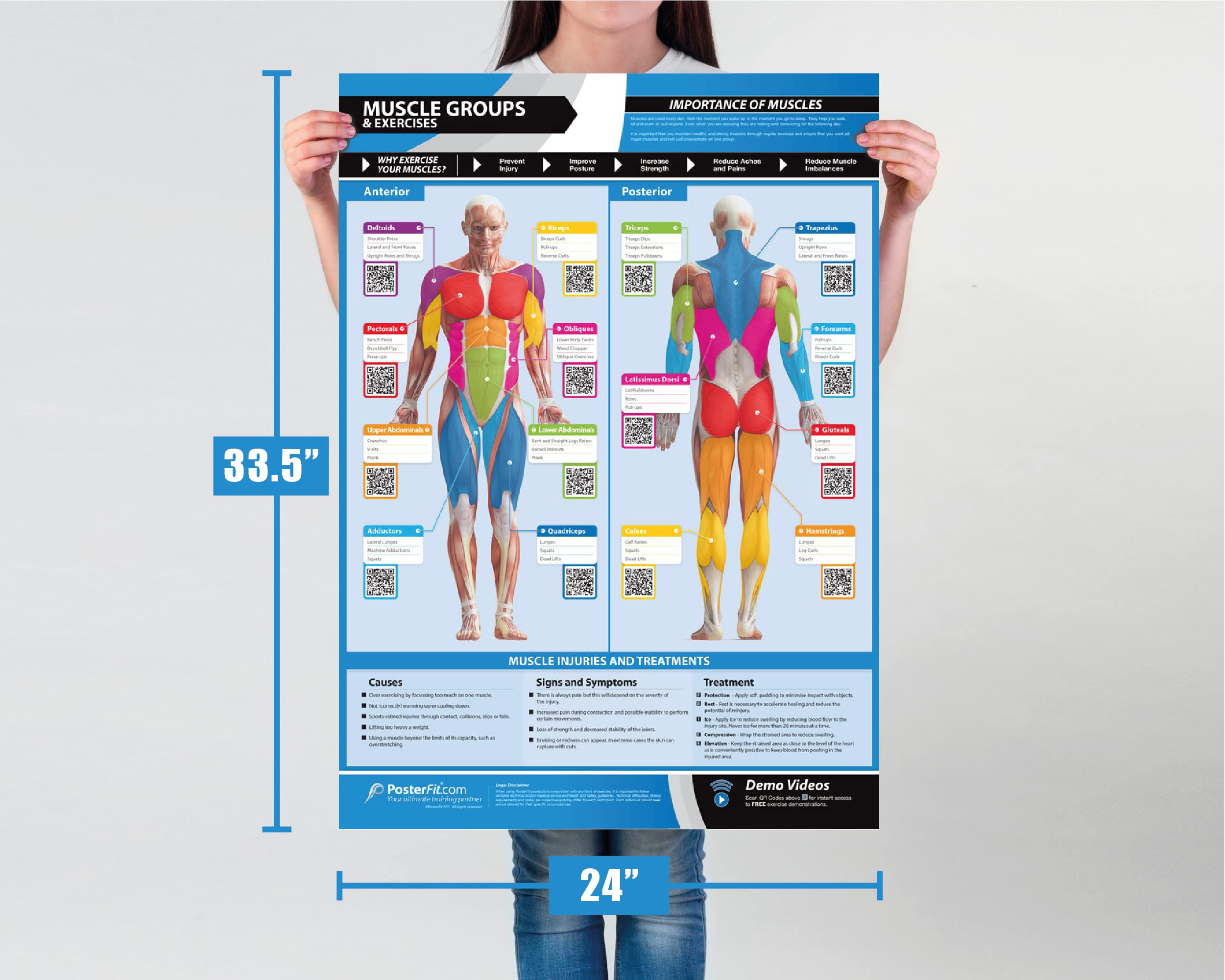 Gym Workout Posters - Set of 7 - Laminated - EXTRA LARGE 33" X 23.5" - Exercise Posters - Gym or Home Workout Charts - Includes Video Training Support