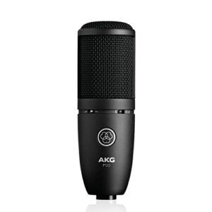 akg pro audio p120 - affordable 2/3-inch diaphragm condenser microphone for clear vocals & instruments. studio recording or live. xlr connector. black