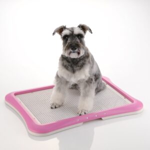 Richell Paw Trax Mesh Training Tray, Pink 25.2 x 18.9 x 1.6" | Richell Paw Trax Mesh Training Tray: Puppy Potty Pad Holder for Indoor Use, Anti-Chewing and Tearing, Ideal for Potty Training Puppies