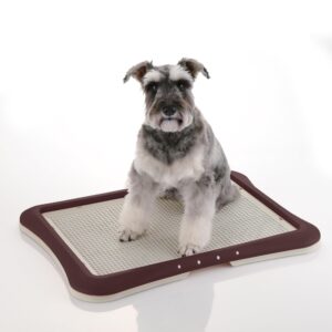 Richell Paw Trax Mesh Training Tray, Brown 25.2 x 18.9 x 1.6" | Richell Paw Trax Mesh Training Tray: Puppy Potty Pad Holder for Indoor Use, Anti-Chewing and Tearing, Ideal for Potty Training Puppies