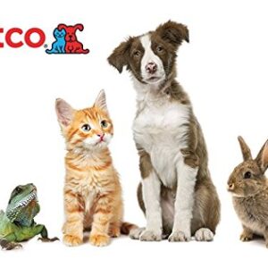 Petco Email Gift Card