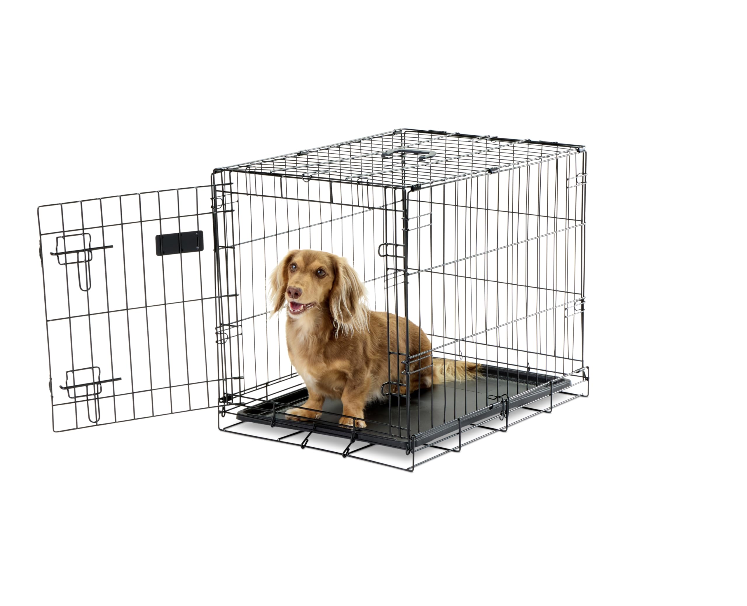 Carlson Pet Products SECURE AND FOLDABLE Single Door Metal Dog Crate, Small, 24.0"L x 18.0"W x 19.0"H